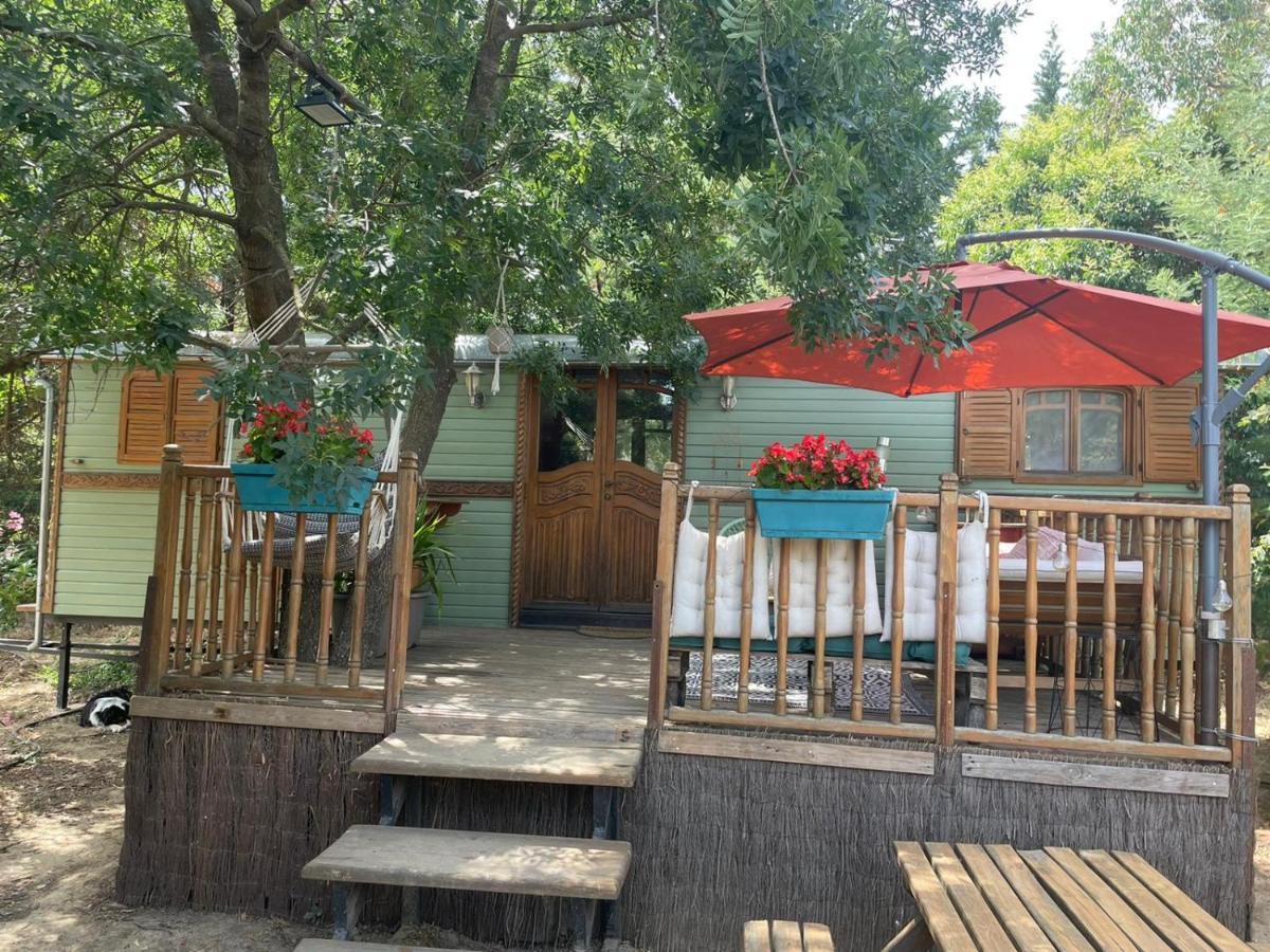 Roulotte En Bois Sud France Guest House Le Soler Exterior photo