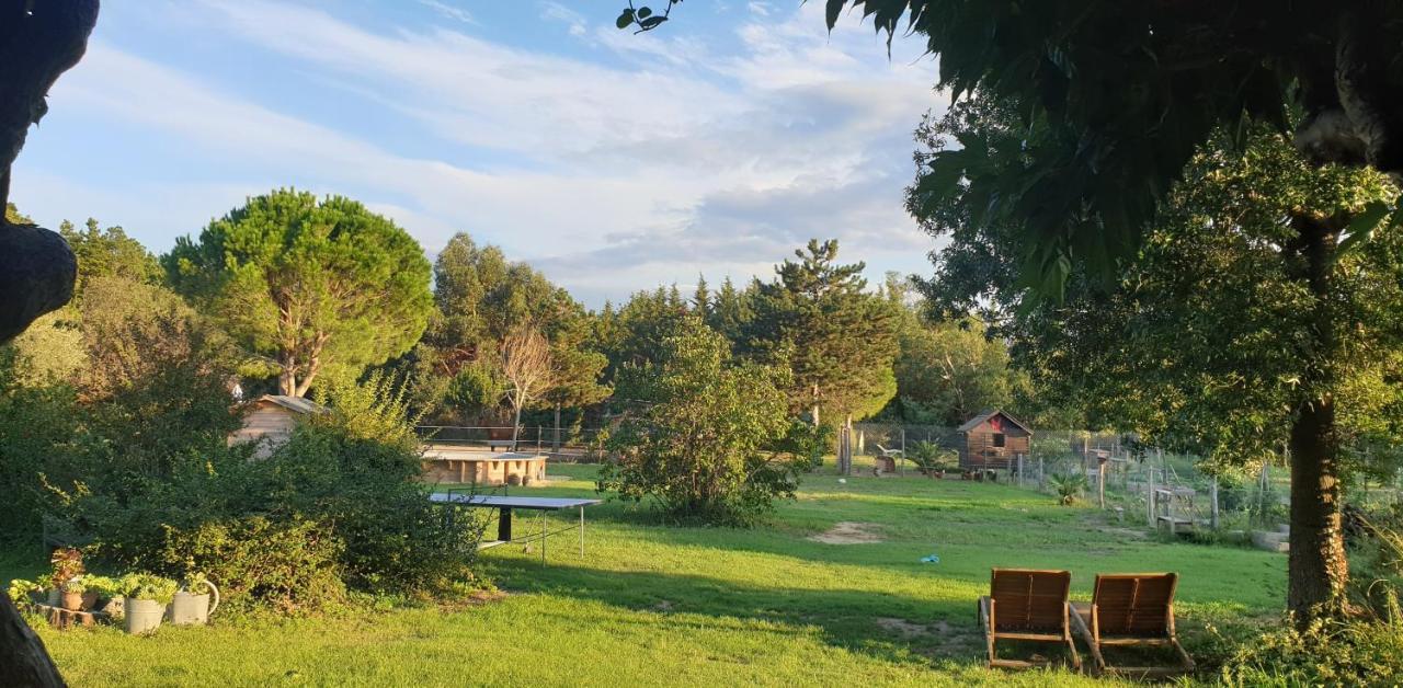 Roulotte En Bois Sud France Guest House Le Soler Exterior photo